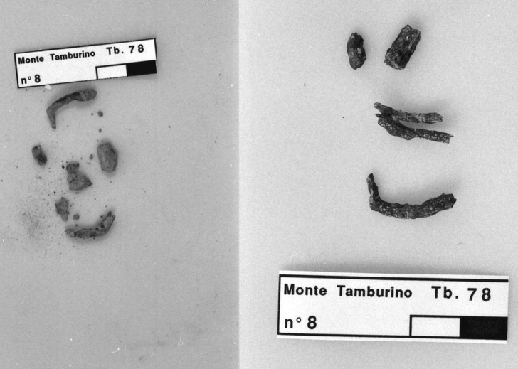 frammento di fibula in ferro prima del restauro
